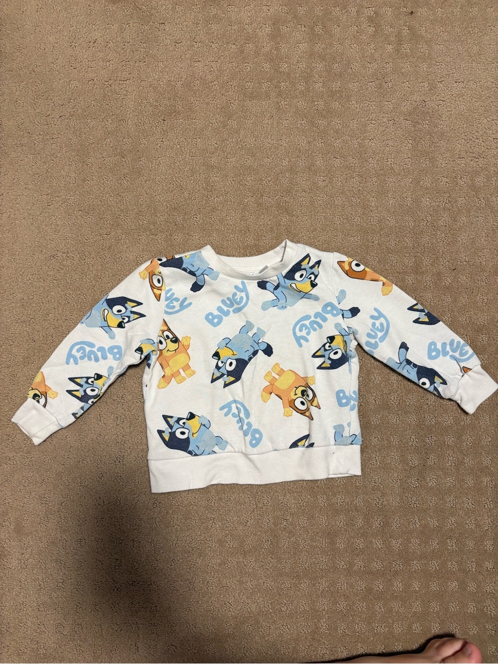 Kids' Bluey Graphic Sweatshirt - White/Blue